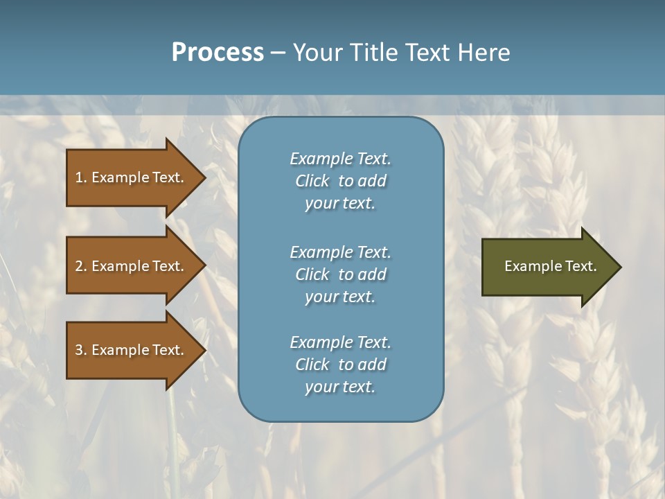 A Field Of Wheat Powerpoint Template PowerPoint Template