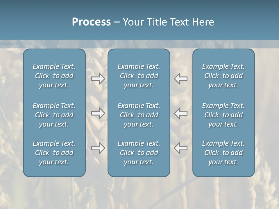 A Field Of Wheat Powerpoint Template PowerPoint Template