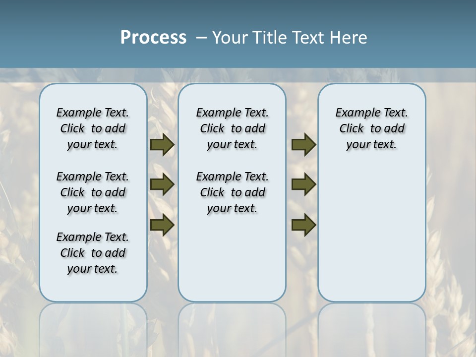 A Field Of Wheat Powerpoint Template PowerPoint Template