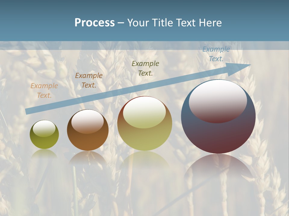 A Field Of Wheat Powerpoint Template PowerPoint Template
