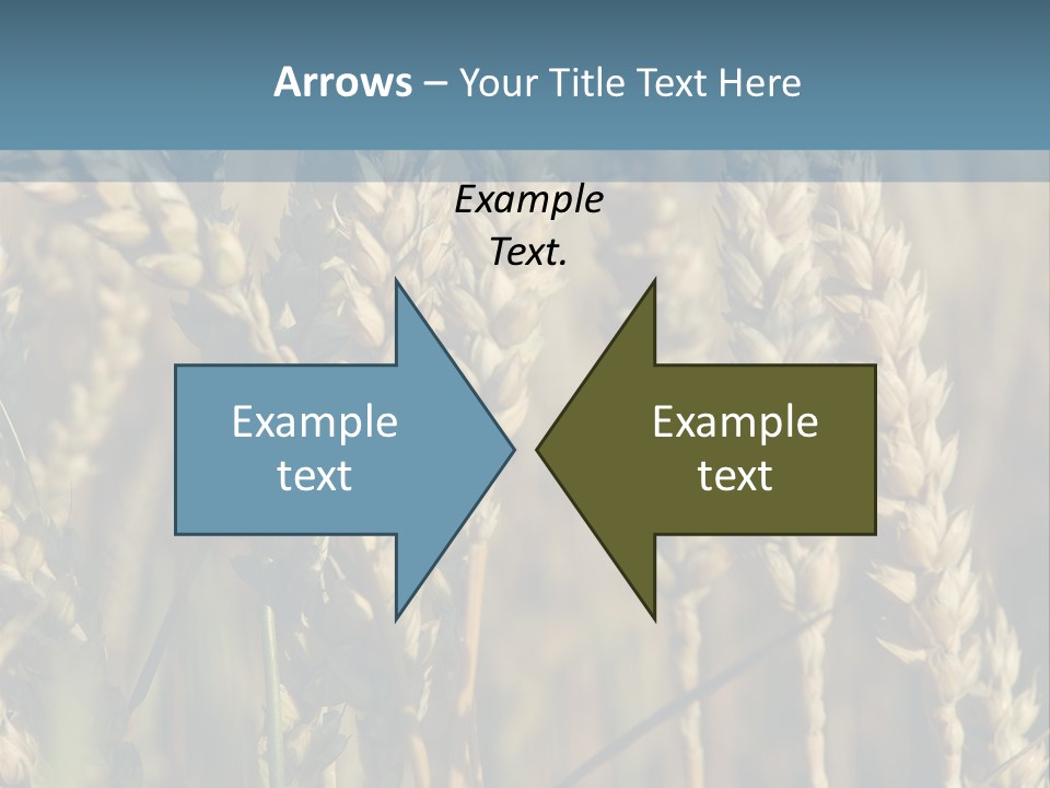 A Field Of Wheat Powerpoint Template PowerPoint Template