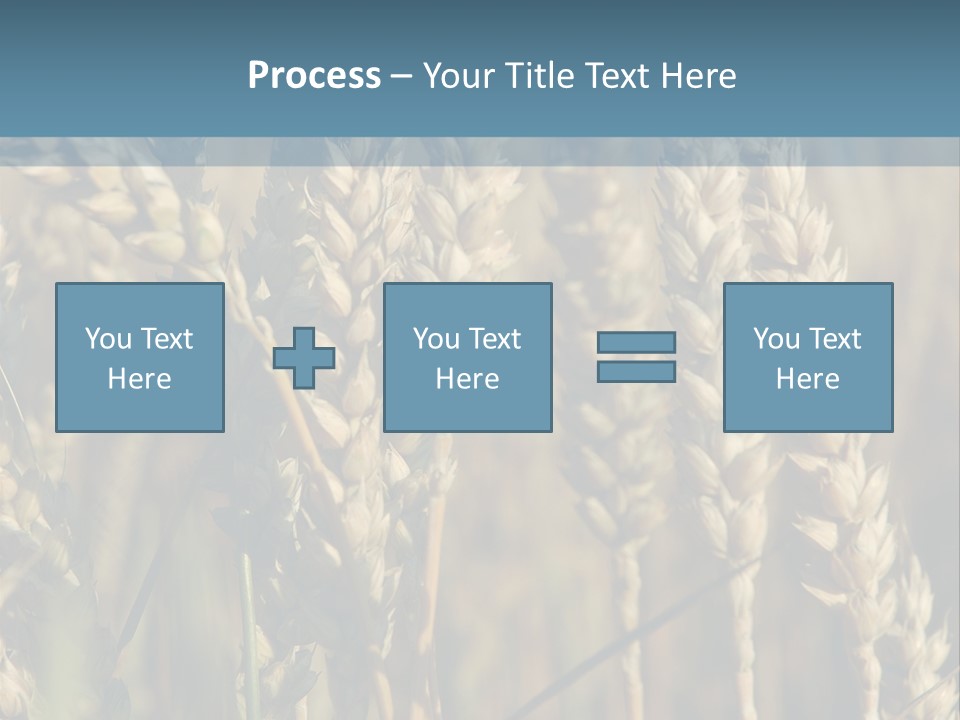 A Field Of Wheat Powerpoint Template PowerPoint Template