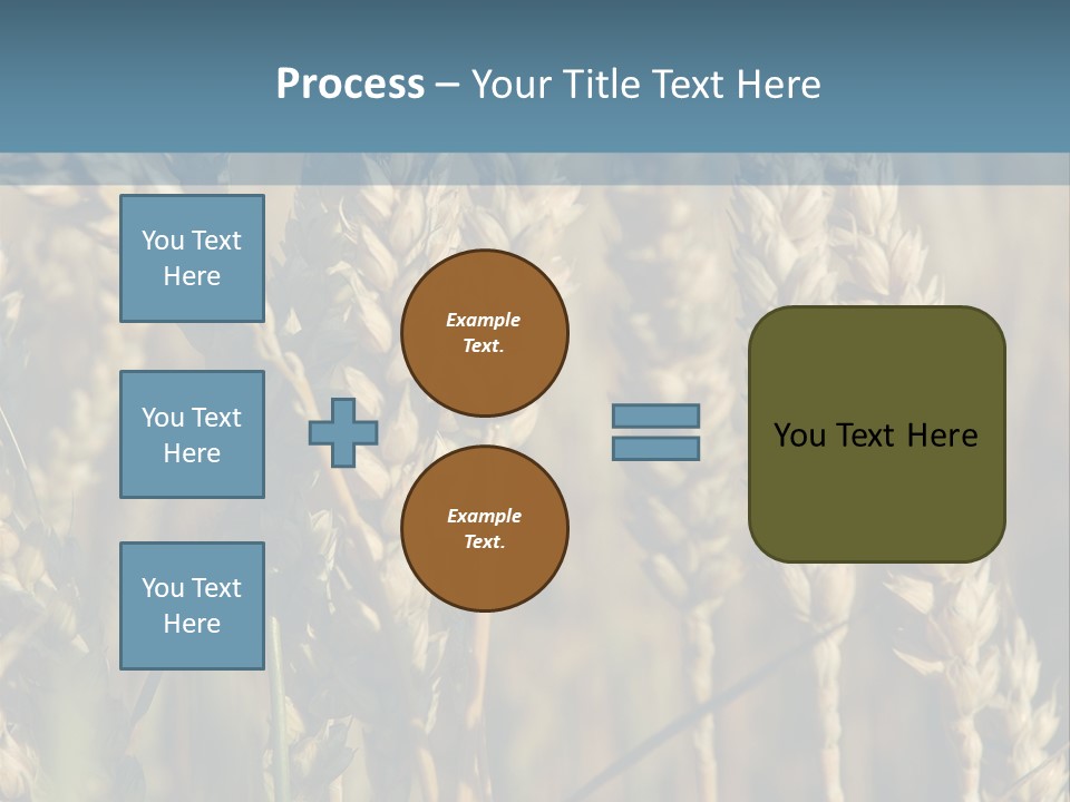 A Field Of Wheat Powerpoint Template PowerPoint Template