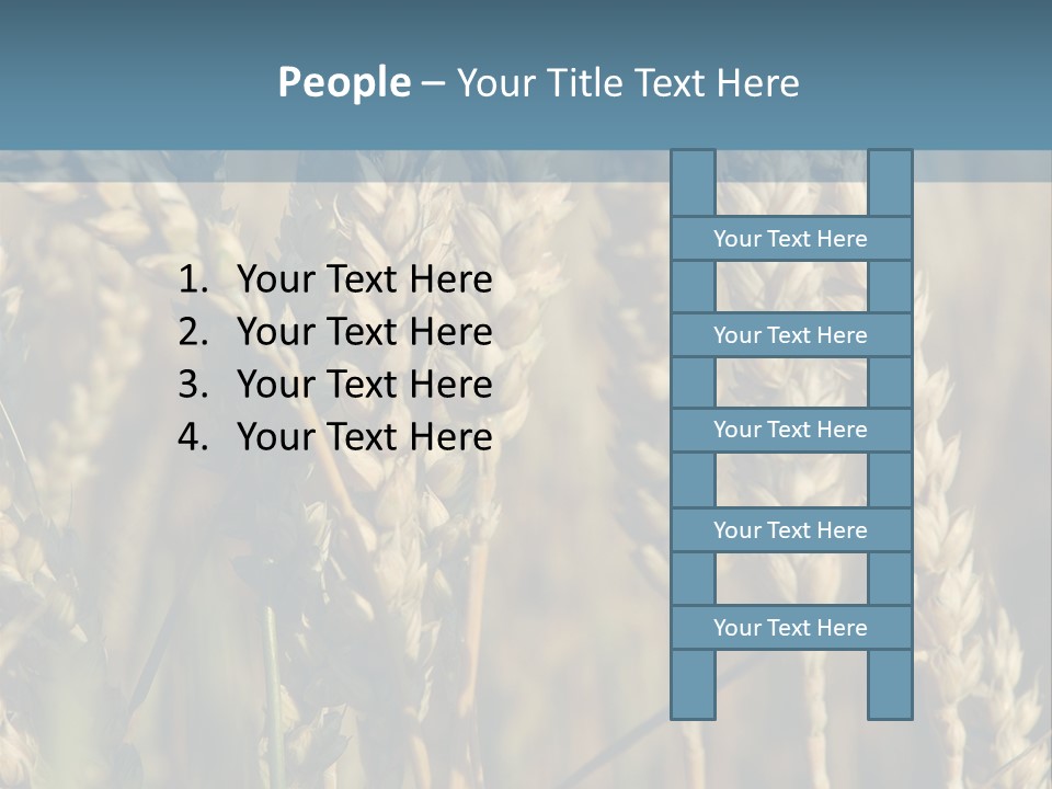 A Field Of Wheat Powerpoint Template PowerPoint Template