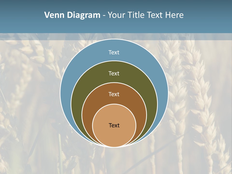 A Field Of Wheat Powerpoint Template PowerPoint Template