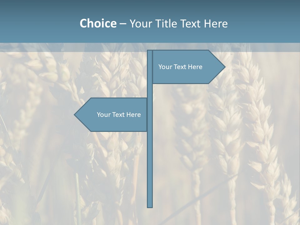 A Field Of Wheat Powerpoint Template PowerPoint Template