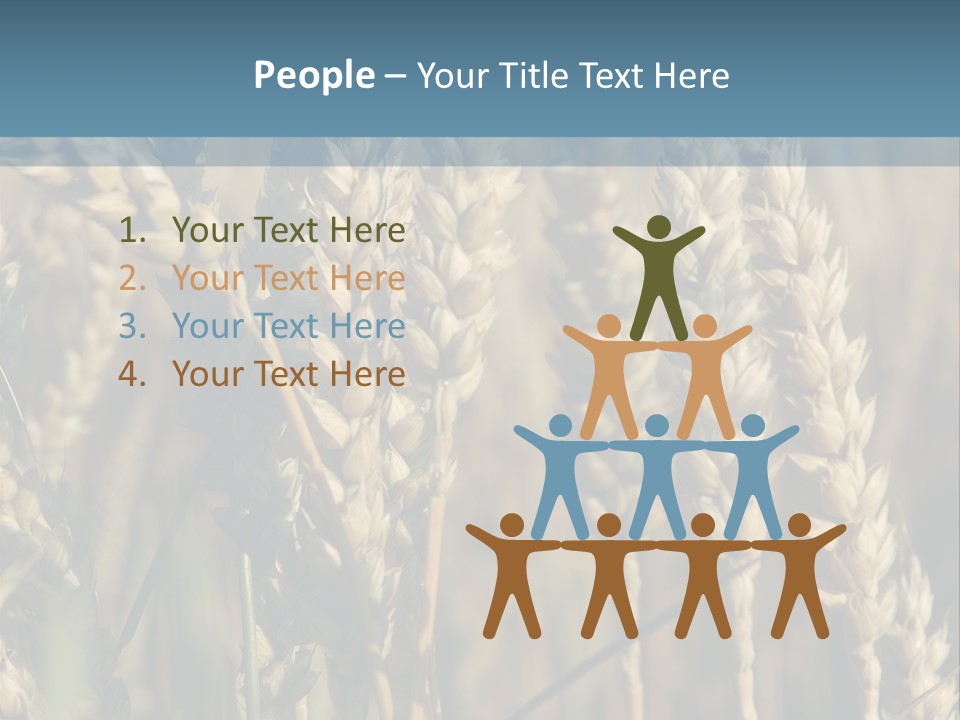 A Field Of Wheat Powerpoint Template PowerPoint Template