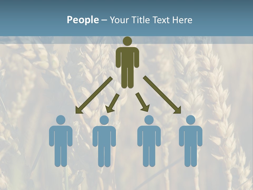 A Field Of Wheat Powerpoint Template PowerPoint Template