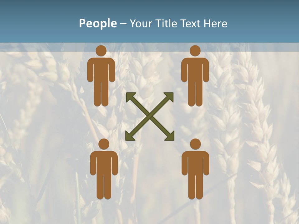 A Field Of Wheat Powerpoint Template PowerPoint Template