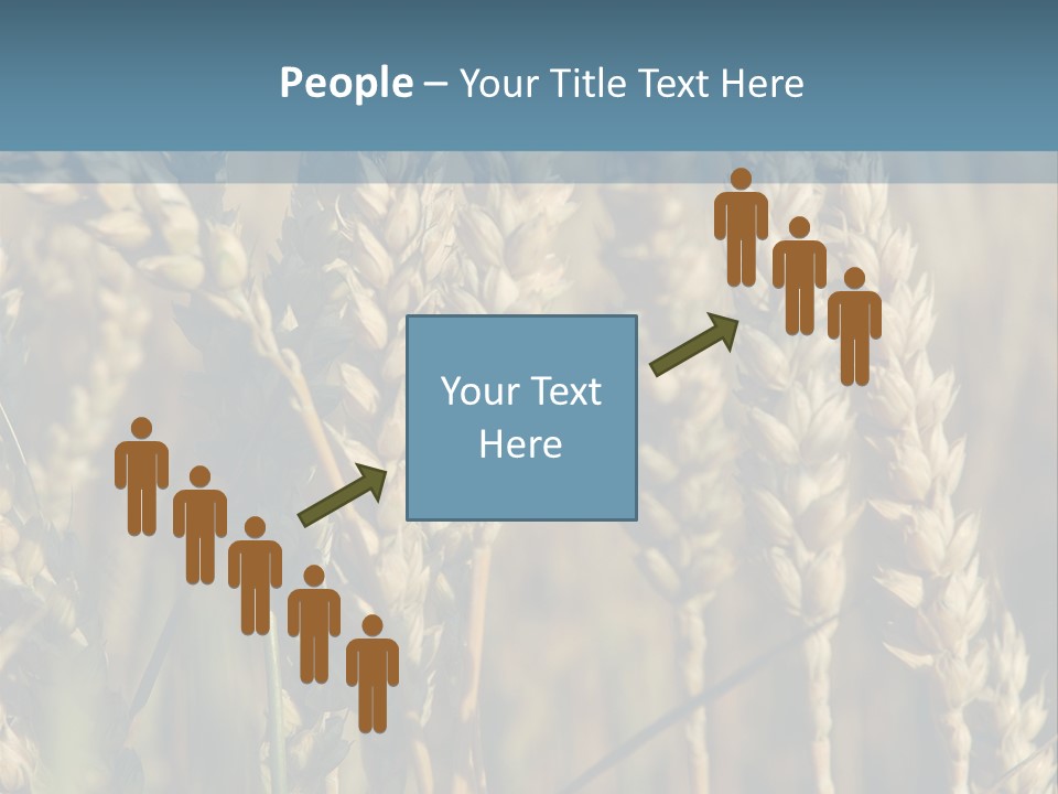 A Field Of Wheat Powerpoint Template PowerPoint Template