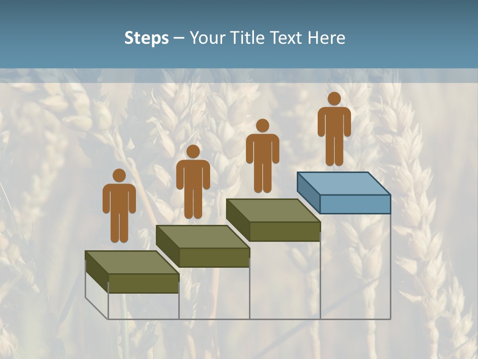 A Field Of Wheat Powerpoint Template PowerPoint Template