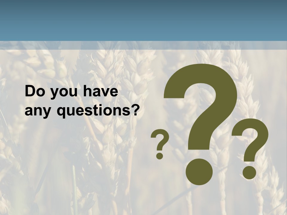 A Field Of Wheat Powerpoint Template PowerPoint Template