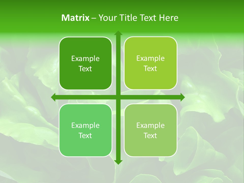 Full Frame Close Up Photo Of A Butter Lettuce - For Background Or Texture PowerPoint Template