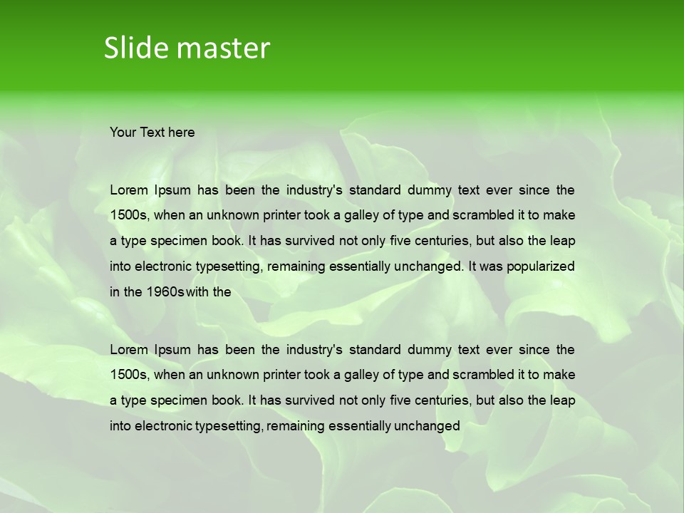 Full Frame Close Up Photo Of A Butter Lettuce - For Background Or Texture PowerPoint Template