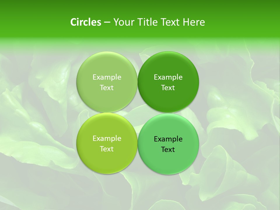 Full Frame Close Up Photo Of A Butter Lettuce - For Background Or Texture PowerPoint Template