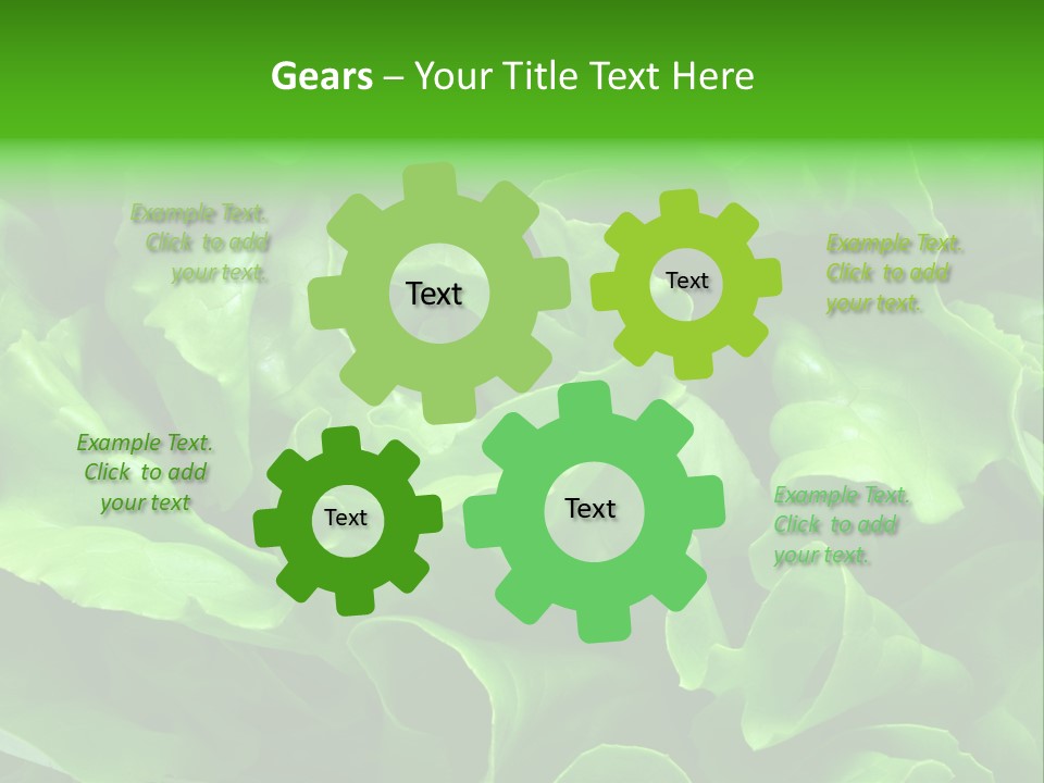 Full Frame Close Up Photo Of A Butter Lettuce - For Background Or Texture PowerPoint Template