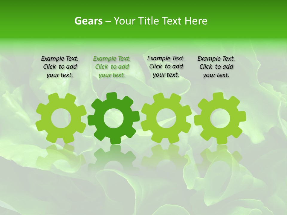 Full Frame Close Up Photo Of A Butter Lettuce - For Background Or Texture PowerPoint Template