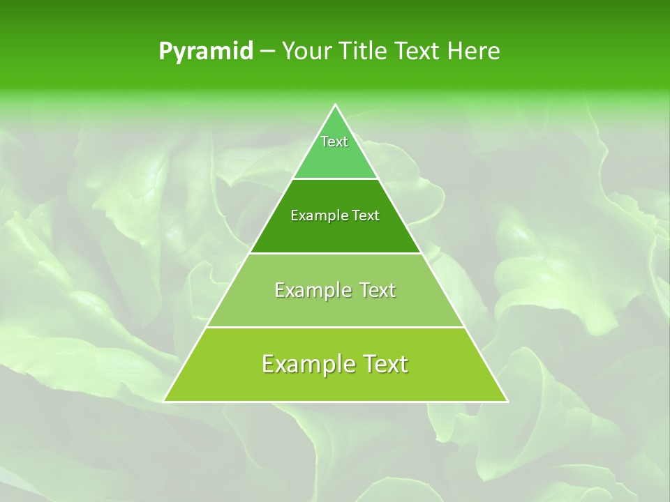 Full Frame Close Up Photo Of A Butter Lettuce - For Background Or Texture PowerPoint Template