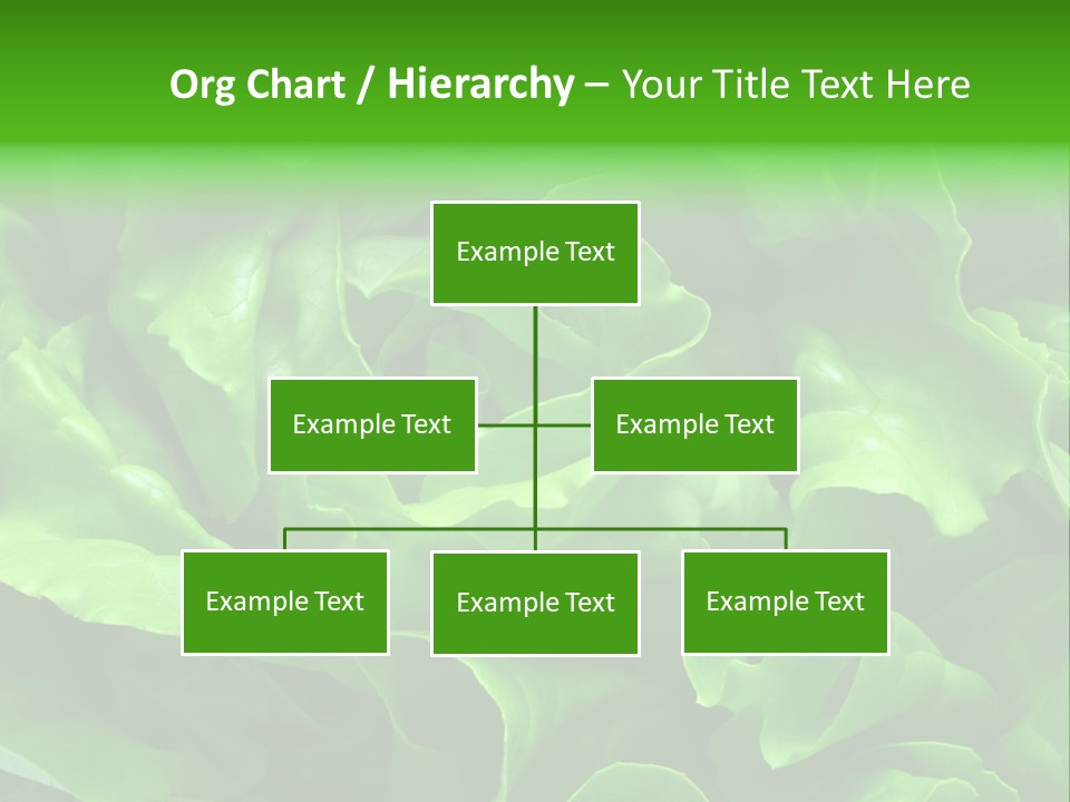Full Frame Close Up Photo Of A Butter Lettuce - For Background Or Texture PowerPoint Template