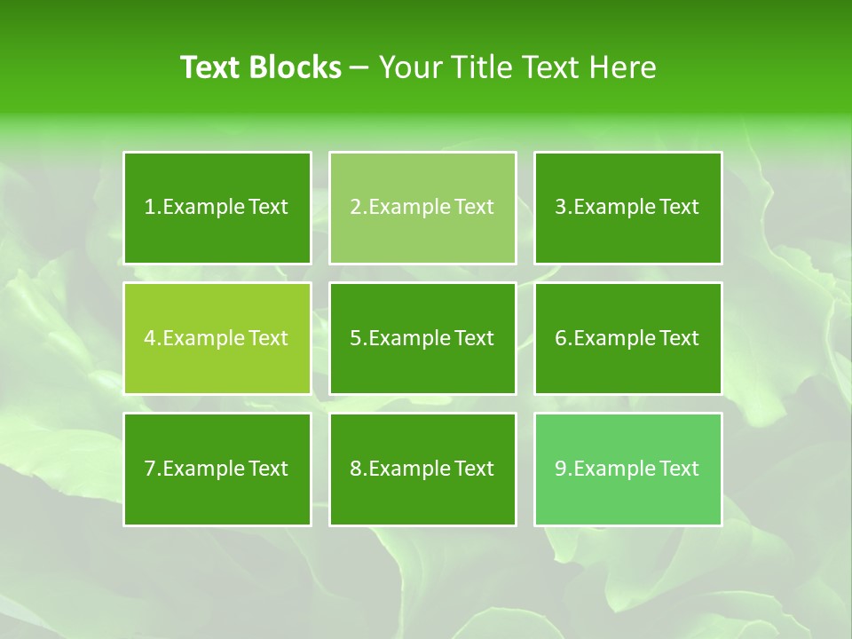 Full Frame Close Up Photo Of A Butter Lettuce - For Background Or Texture PowerPoint Template