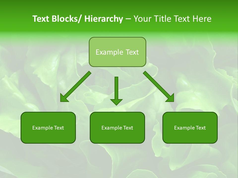 Full Frame Close Up Photo Of A Butter Lettuce - For Background Or Texture PowerPoint Template