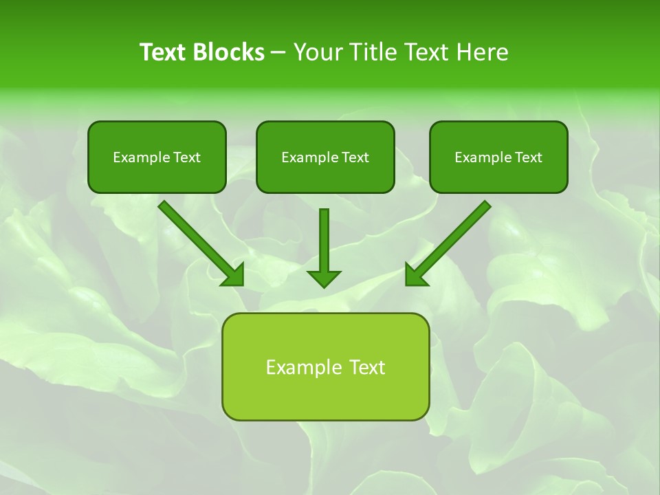 Full Frame Close Up Photo Of A Butter Lettuce - For Background Or Texture PowerPoint Template