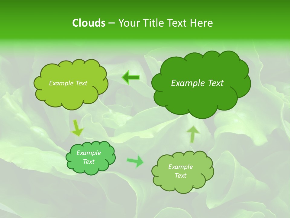 Full Frame Close Up Photo Of A Butter Lettuce - For Background Or Texture PowerPoint Template