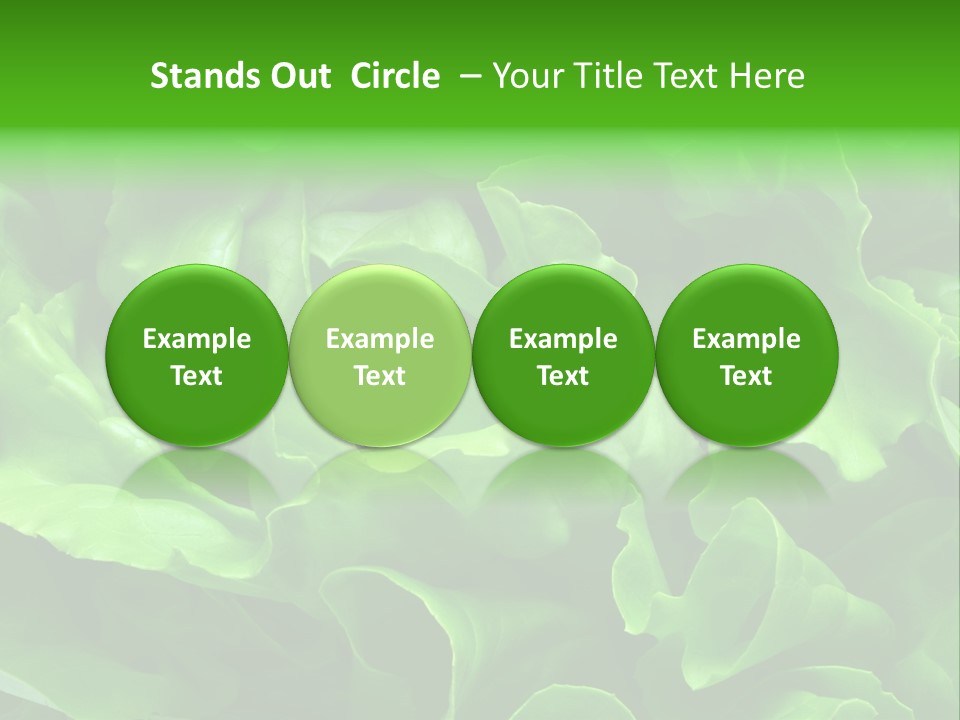 Full Frame Close Up Photo Of A Butter Lettuce - For Background Or Texture PowerPoint Template