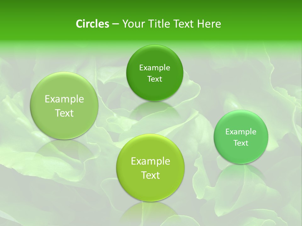 Full Frame Close Up Photo Of A Butter Lettuce - For Background Or Texture PowerPoint Template