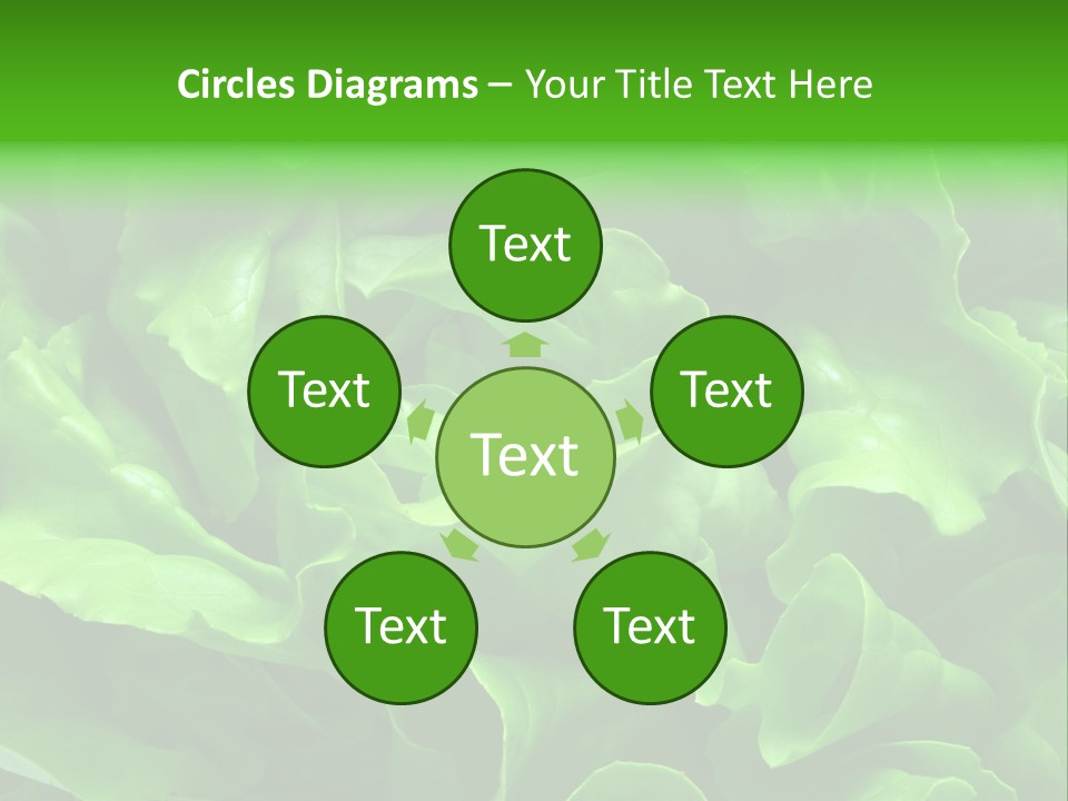 Full Frame Close Up Photo Of A Butter Lettuce - For Background Or Texture PowerPoint Template