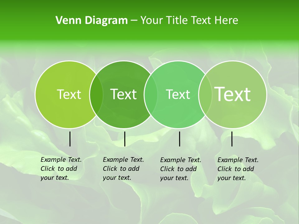 Full Frame Close Up Photo Of A Butter Lettuce - For Background Or Texture PowerPoint Template