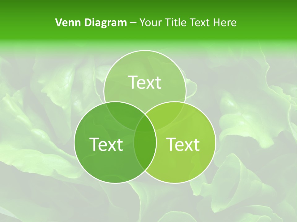 Full Frame Close Up Photo Of A Butter Lettuce - For Background Or Texture PowerPoint Template