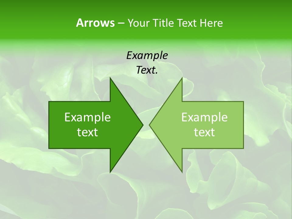 Full Frame Close Up Photo Of A Butter Lettuce - For Background Or Texture PowerPoint Template