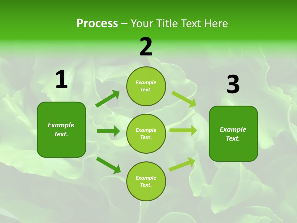 Full Frame Close Up Photo Of A Butter Lettuce - For Background Or Texture PowerPoint Template