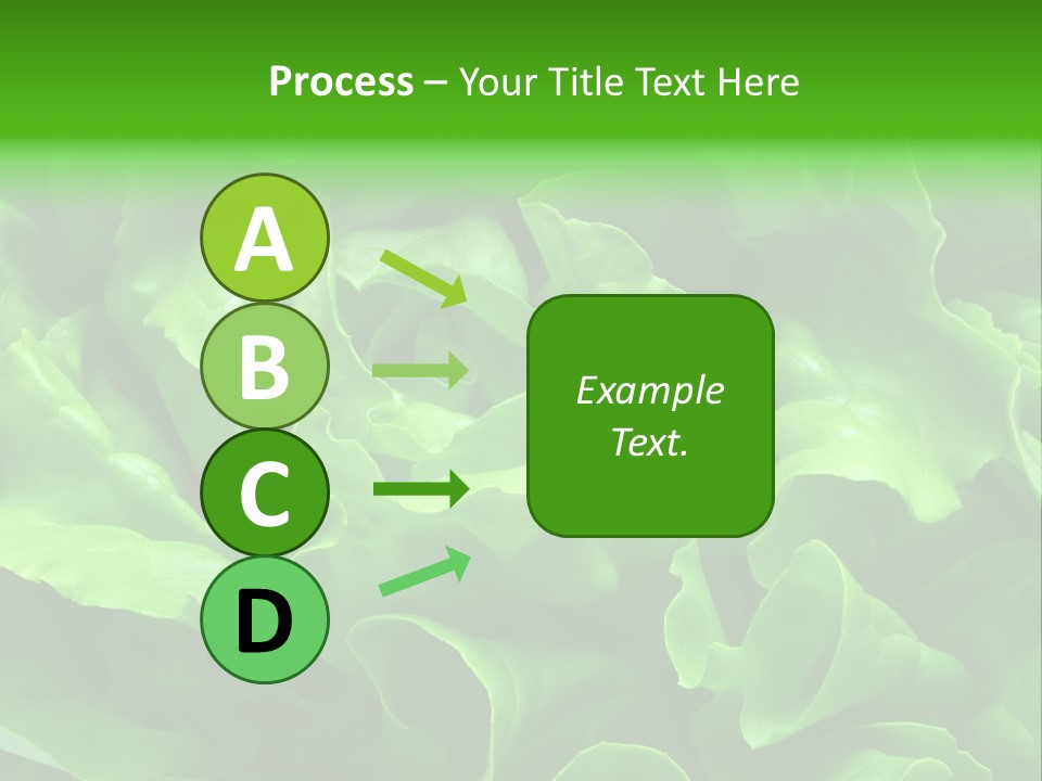 Full Frame Close Up Photo Of A Butter Lettuce - For Background Or Texture PowerPoint Template
