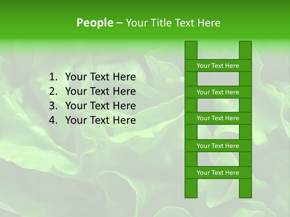 Full Frame Close Up Photo Of A Butter Lettuce - For Background Or Texture PowerPoint Template