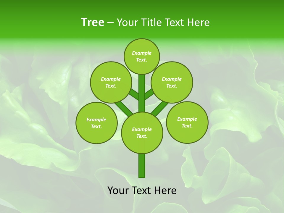 Full Frame Close Up Photo Of A Butter Lettuce - For Background Or Texture PowerPoint Template