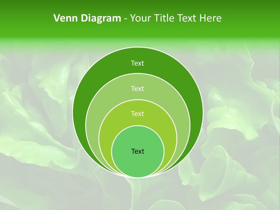 Full Frame Close Up Photo Of A Butter Lettuce - For Background Or Texture PowerPoint Template