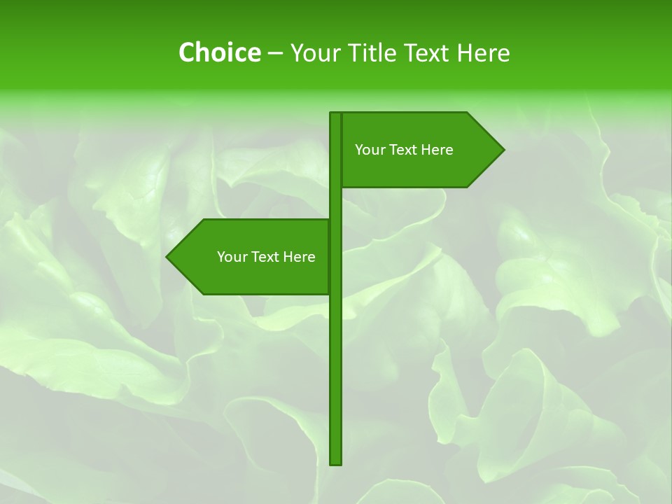 Full Frame Close Up Photo Of A Butter Lettuce - For Background Or Texture PowerPoint Template