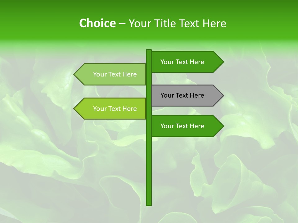 Full Frame Close Up Photo Of A Butter Lettuce - For Background Or Texture PowerPoint Template
