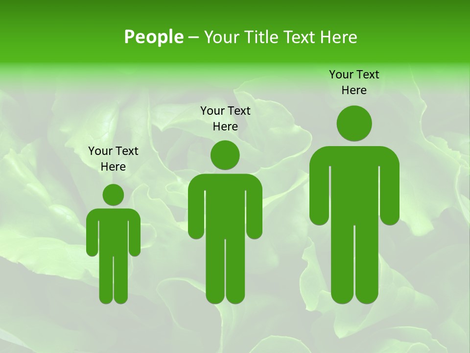 Full Frame Close Up Photo Of A Butter Lettuce - For Background Or Texture PowerPoint Template