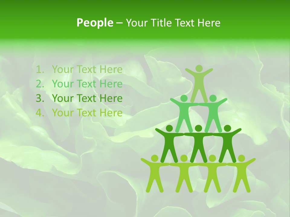 Full Frame Close Up Photo Of A Butter Lettuce - For Background Or Texture PowerPoint Template