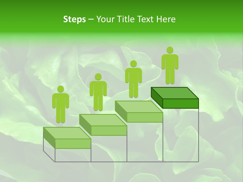 Full Frame Close Up Photo Of A Butter Lettuce - For Background Or Texture PowerPoint Template