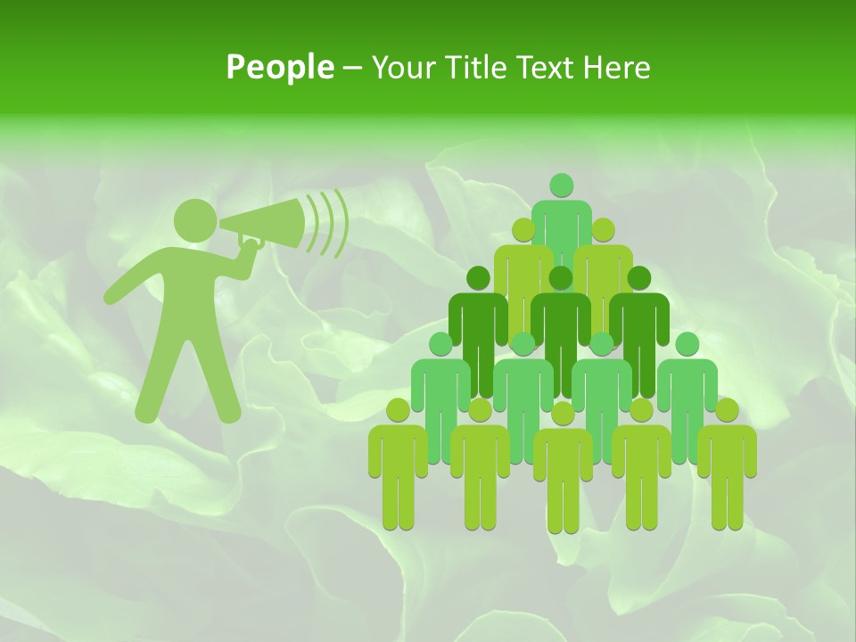 Full Frame Close Up Photo Of A Butter Lettuce - For Background Or Texture PowerPoint Template