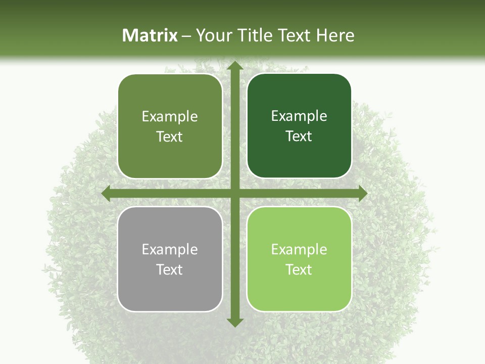 Green Plant Globe With North And South America Over White Background PowerPoint Template