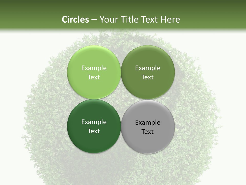 Green Plant Globe With North And South America Over White Background PowerPoint Template