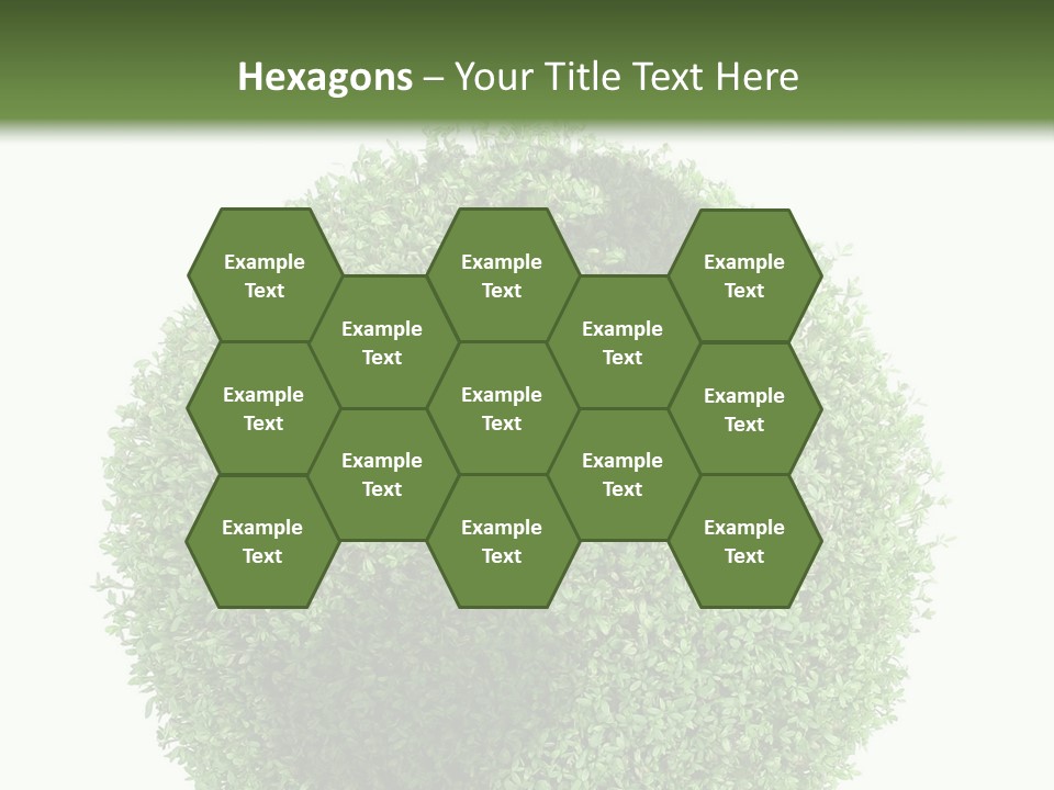 Green Plant Globe With North And South America Over White Background PowerPoint Template