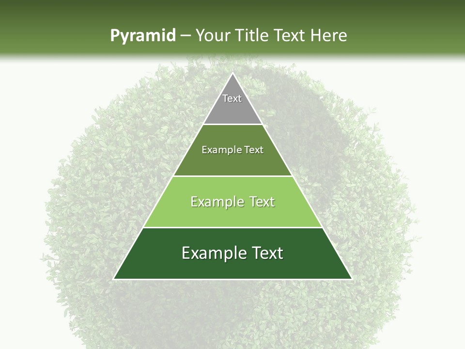 Green Plant Globe With North And South America Over White Background PowerPoint Template