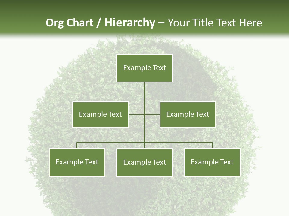 Green Plant Globe With North And South America Over White Background PowerPoint Template