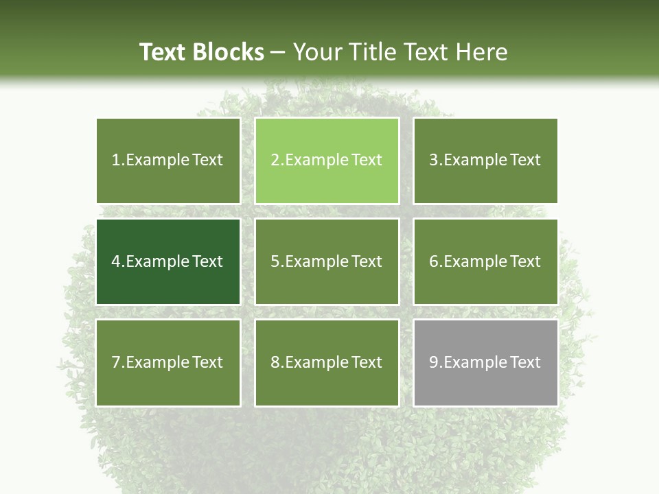 Green Plant Globe With North And South America Over White Background PowerPoint Template